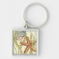 Partie Shell multicolore