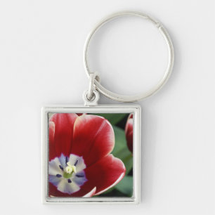 Porte-clés Pays-Bas (aussi appelé Hollande), Lisse. Keukenhof