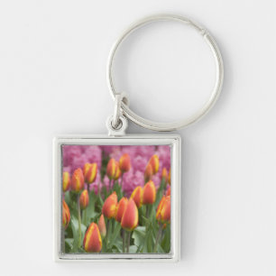 Porte-clés Pays-Bas (aussi appelé Hollande), Lisse. Keukenhof