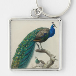 Porte-clés Peacock vintage