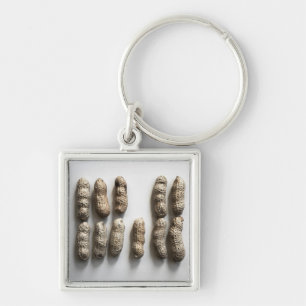 Porte-clés Peanuts Still Life Fine Art Photographie