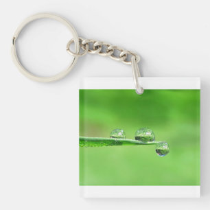 Porte-clés Pelouse zen paisible avec rosée goutte nature