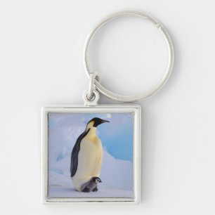 Porte-clés Penguin   Apténodytes