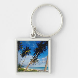 Porte-clés Péninsule de La Samana, République dominicaine,