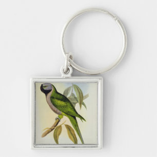Porte-clés Perruche : Palaeornis Derbianus, c.1850
