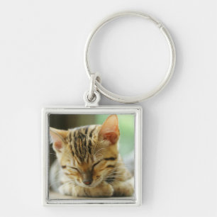 Porte-clés Petit bébé de sommeil Kitty