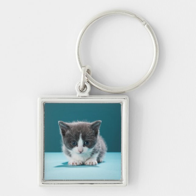 Porte-clés Petit chaton (Devant)