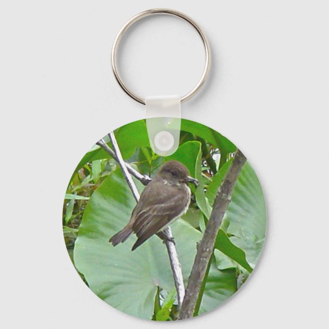 Porte-clés Phoebe Flycatcher Porte - clé (Recto)