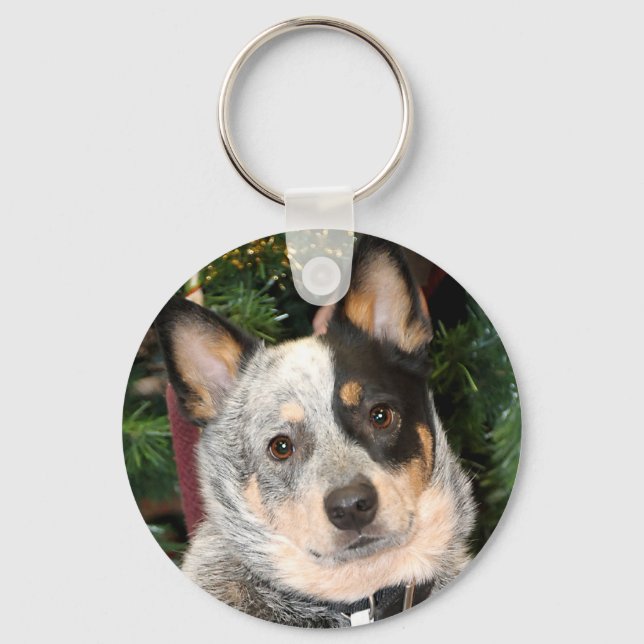 Porte-clés Photo Australian Cattle Dog (Recto)
