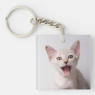Porte-clés Photo de chat mignon et drôle