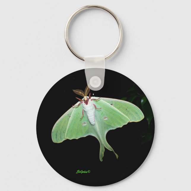 Porte-clés photo de la lune moth (Recto)