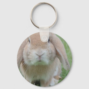 Porte-clés photo de lapin grave