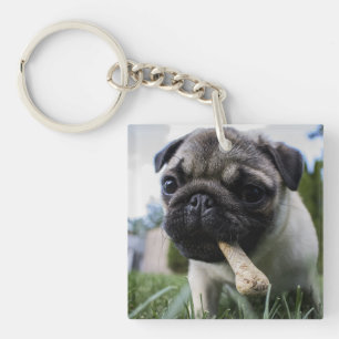 Porte-clés Photo et nom personnalisé du chien de Carlin