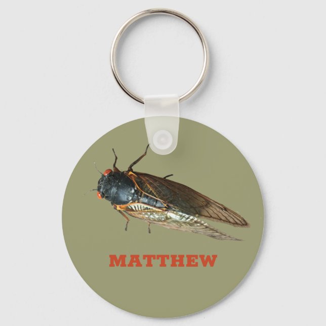 Porte-clés Photo personnalisée de l'insecte Cicada (Recto)