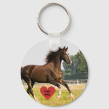 Photo personnalisée du propriétaire du cheval et d
