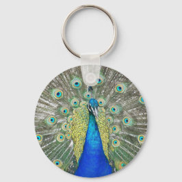Porte-clés Photo Plumage Peacock bleu