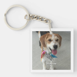 Porte-clés Photo pour animaux de compagnie ou photo et nom de