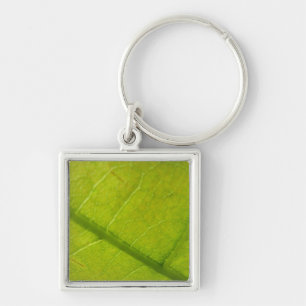 Porte-clés Photographie de la nature à feuilles vertes
