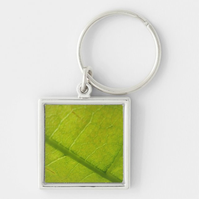 Porte-clés Photographie de la nature botanique de la feuille  (Devant)