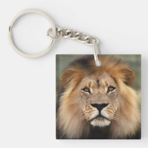 Porte-clés Photographie de lion