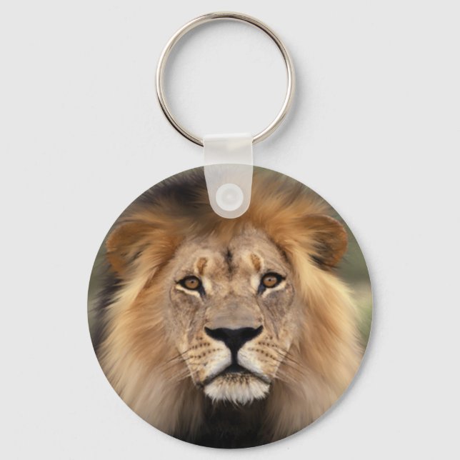 Porte-clés Photographie des lions (Recto)