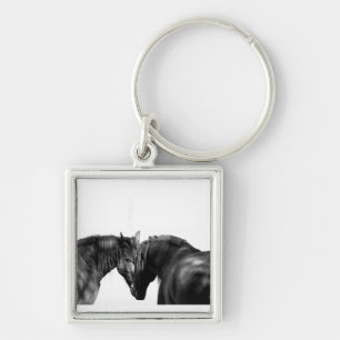 Porte-clés Photographie fine Art équinePorte - clé d'eau
