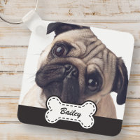 Photos d'animaux de compagnie sur Cute Dog Bone Aj