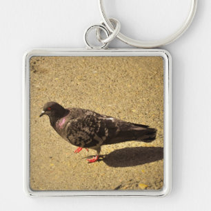 Porte-clés Pigeon