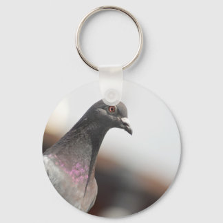 Porte-clés Pigeon de course