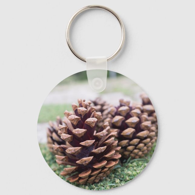 Porte-clés Pinecones (Recto)