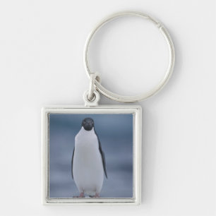Porte-clés Pingouin d'Adelie sur la glace