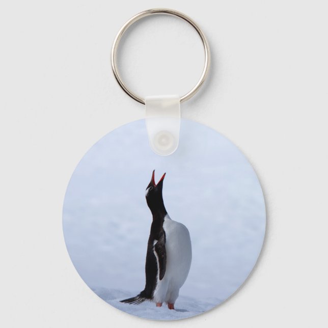 Porte-clés Pingouin Gentoo (Recto)