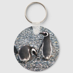 Porte-clés Pingouins de Magellanic, la Manche de beagle,