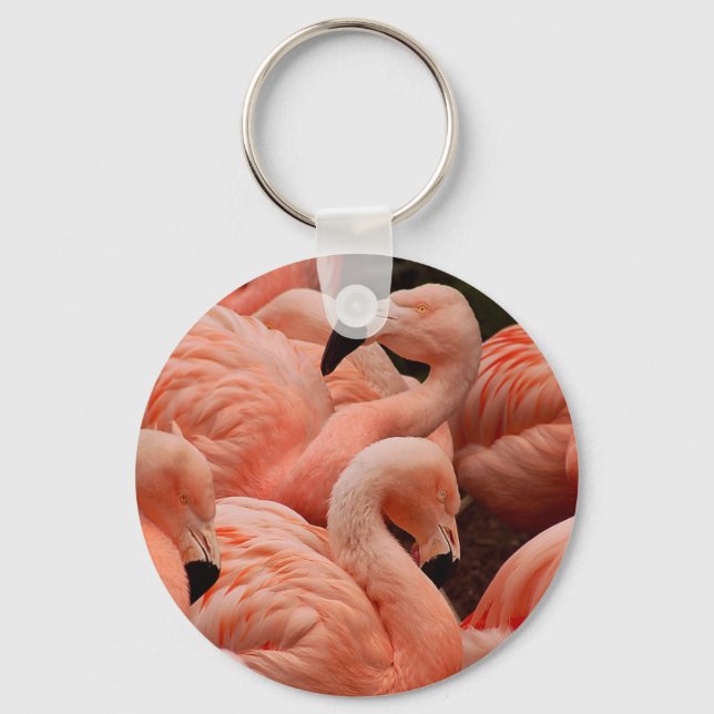 Porte-clés Pink flamingos (Recto)