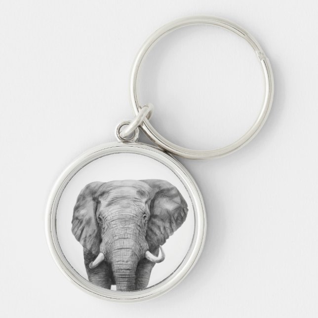 Porte-clés Plan de sauvegarde IV (Devant)