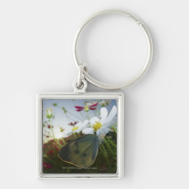 Porte-clés Plan rapproché de papillon sur la fleur (Devant)
