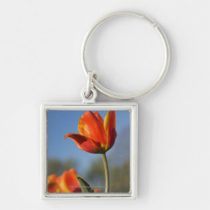 Porte-clés Plan rapproché des fleurs de tulipe