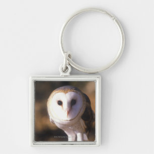Porte-clés 'Plan rapproché du hibou de grange, terre entre
