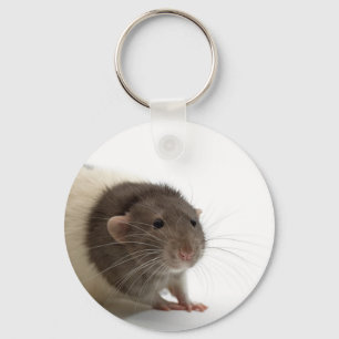 Porte-clés Plan rapproché mignon de rat