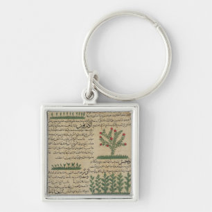 Porte-clés Plantes botaniques, illustration de '