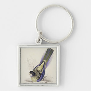 Porte-clés Platycercus Brownii, ou Parrakeet de Brown (plat 2