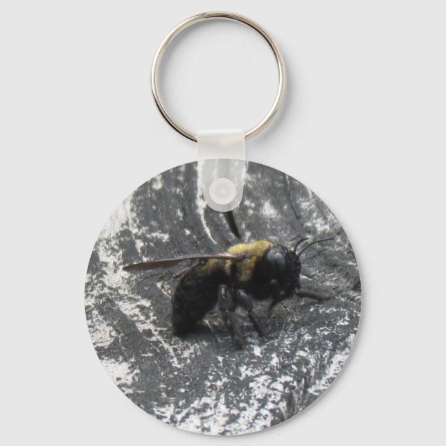 Porte-clés Pludrops (Recto)