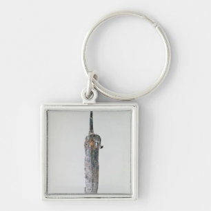 Porte-clés Poignard, culture de Halstatt, c.750-450 AVANT