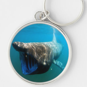 Porte-clés Poisson de requin Océan tropical Destin Cadeaux