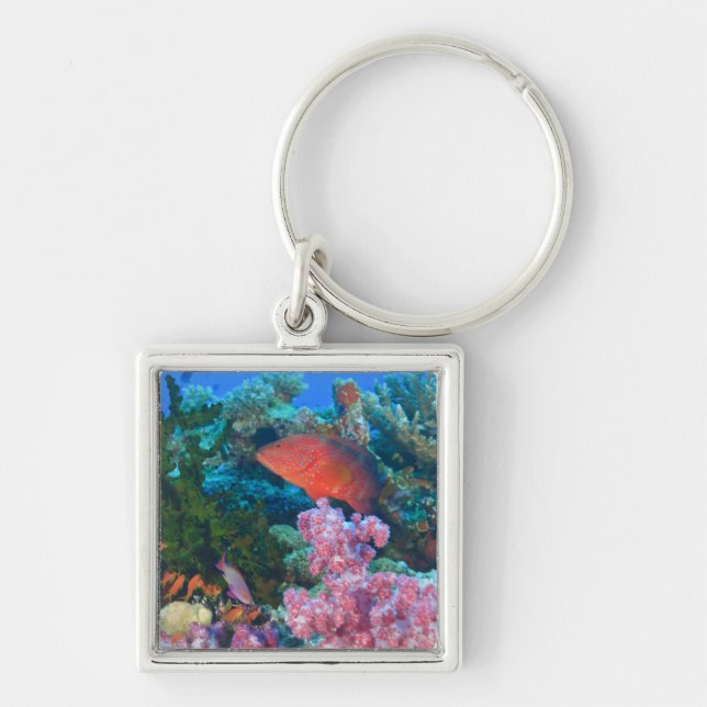 Porte-clés poisson-échelle Pseudanthias (Devant)