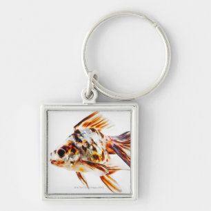 Porte-clés Poisson rouge de comète de rose des vents de