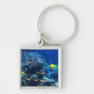 Porte-clés Poisson Tropical Jaune Photo Sous L'Eau