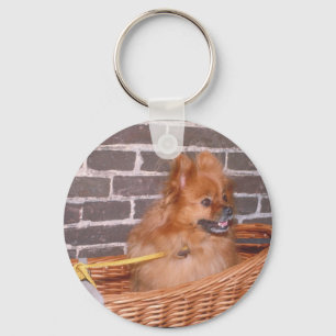 Porte-clés Pomeranian