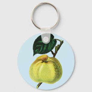 Porte-clés pomme verte sur l'illustration botanique d'un arbr