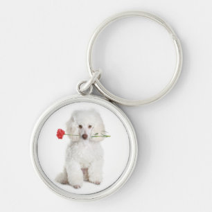 Porte-clés Poodle blanc avec chaîne Premium Carnation Key